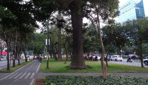 Avenida La Reforma