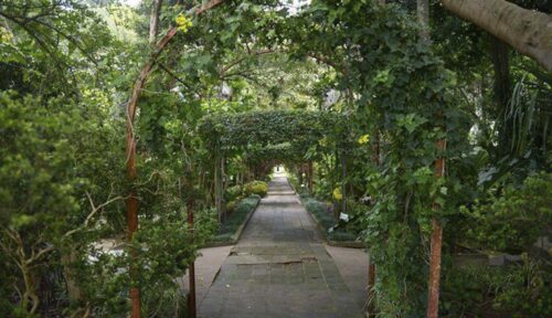 Jardín Botánico