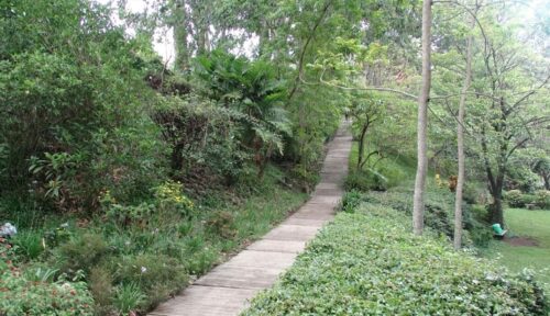Parque Ecológico La Joya de Oakland