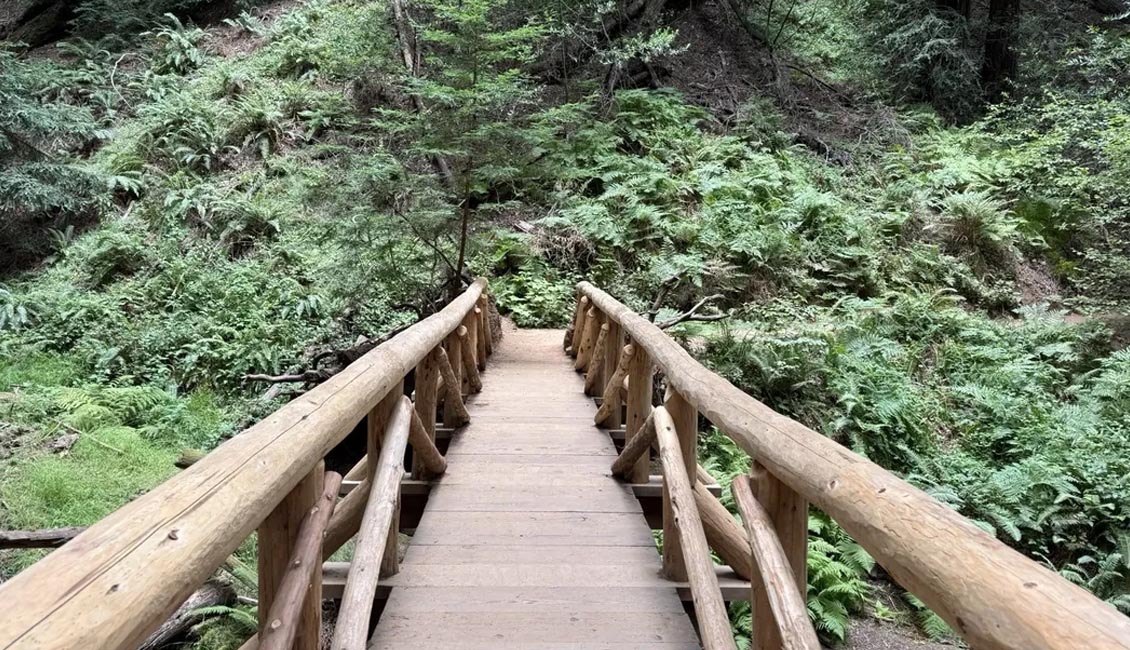 Parque Sendero de Oakland