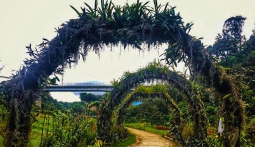 Parque Ecológico La Asunción